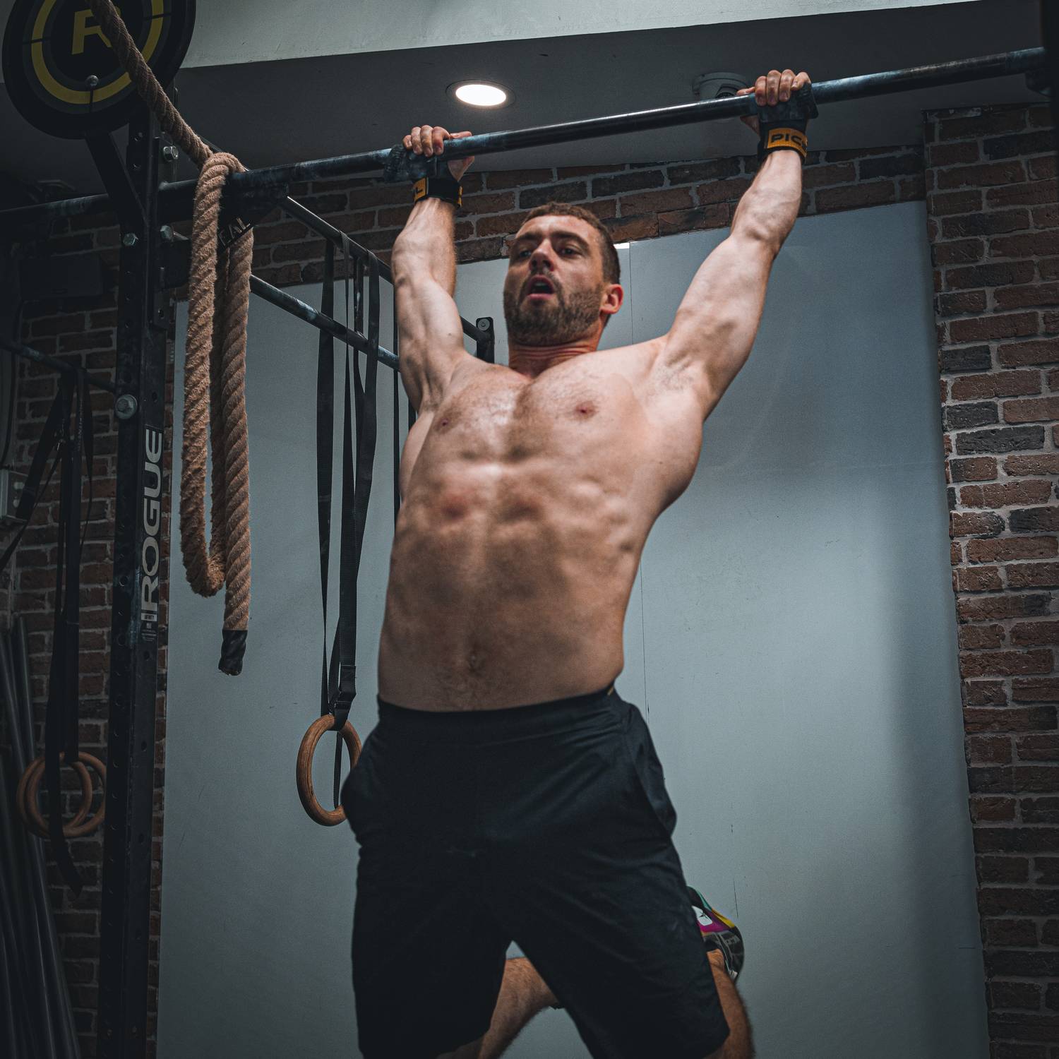 PULL-UP / CHEST-TO-BAR / BAR MUSCLE-UP
