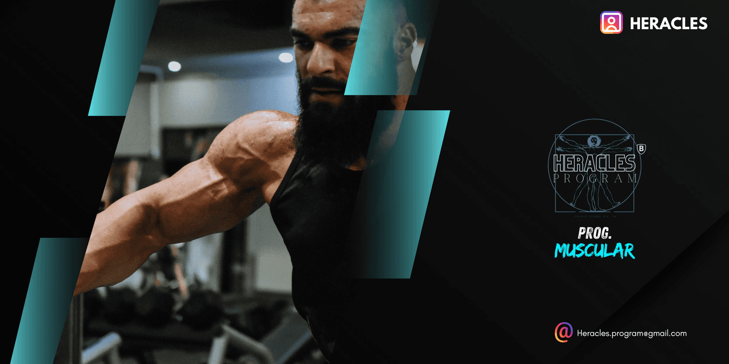 HERACLES.PROG.MUSCULAR.NOVICE.2S