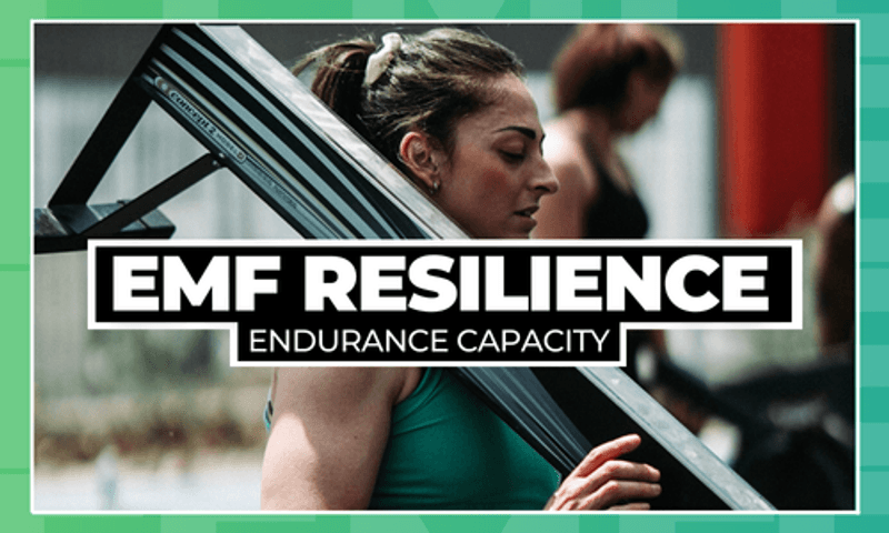 🟢 EMF Resilience : Endurance Capacity (8-Weeks Cycle)