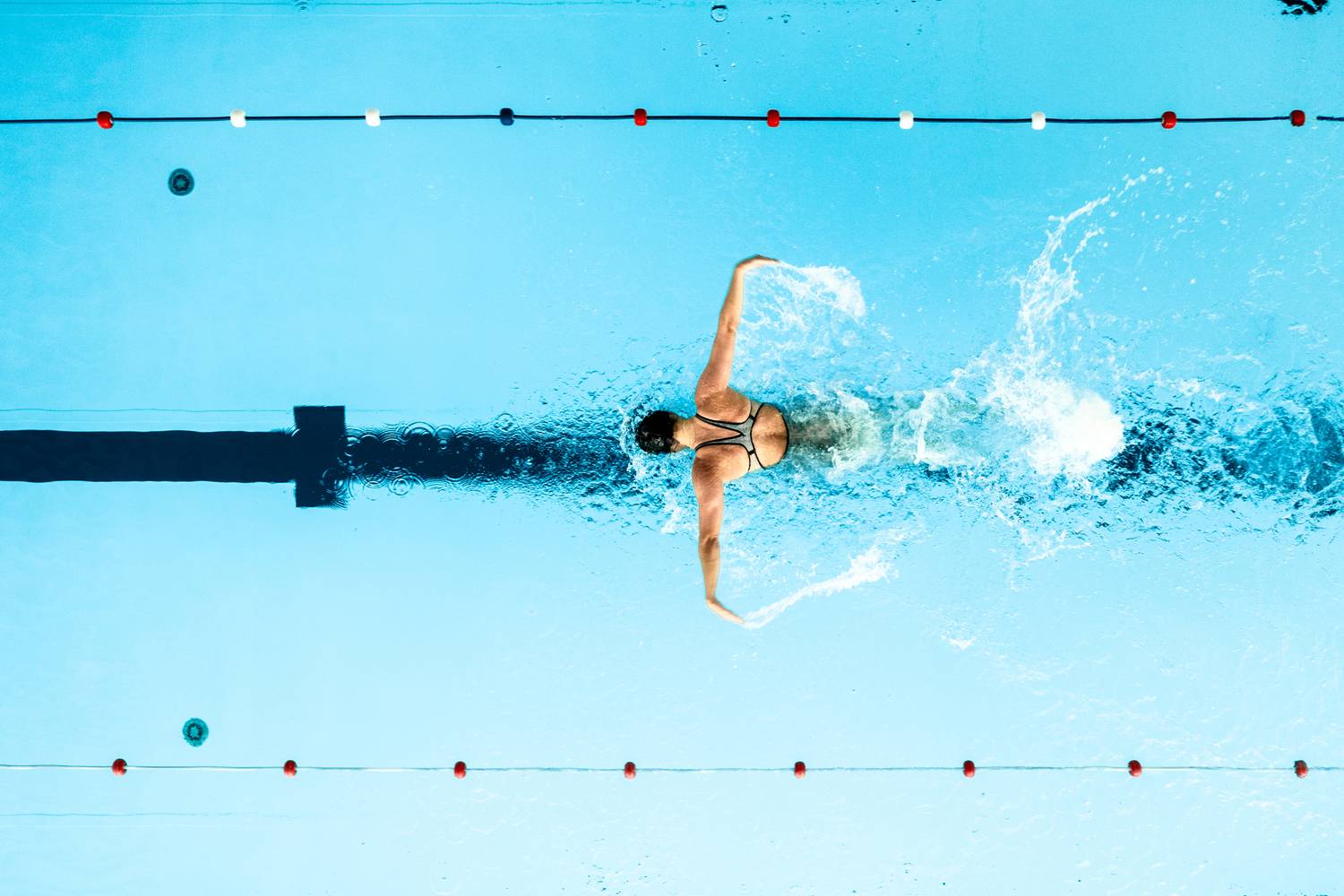 About Happy Humble Hungry