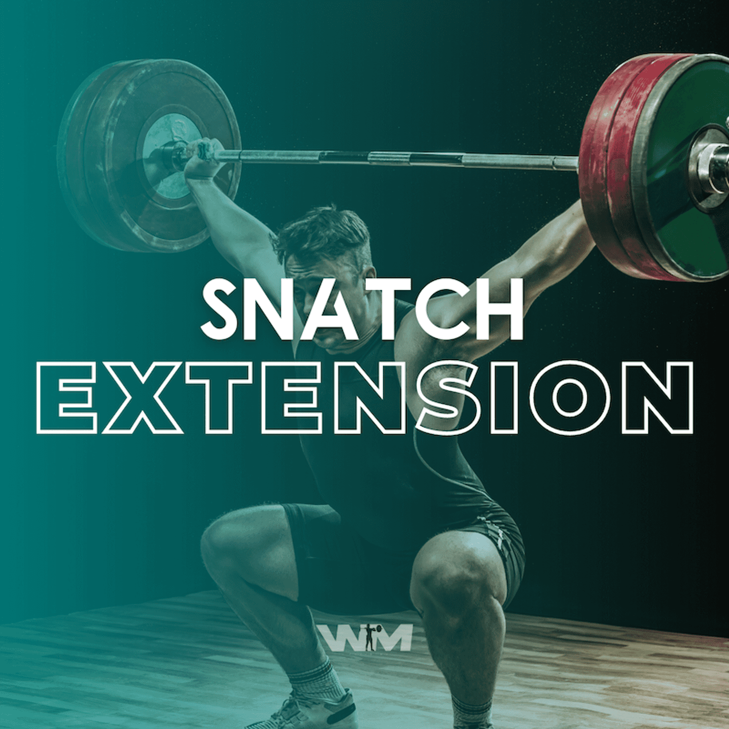 SNATCH EXTENSION